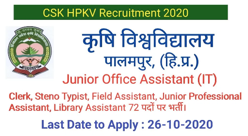 72 Junior Office Assistant IT Steno Typist Job In CSKHPKV