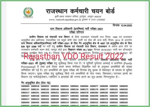 RSMSSB VDO 2021 Final Result