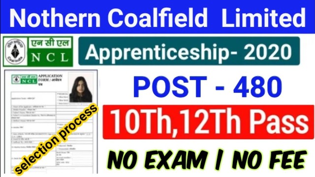 480 Fresher Apprentice Recruitment In NCL Singrauli MP 1