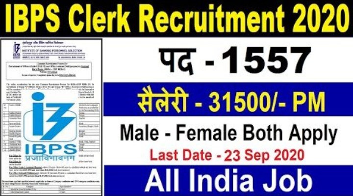 Apply For 1557 Clerk Recruitment In IBPS 1