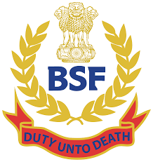 BSF 2