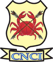 CNCI 1