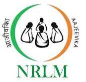 NRLM 1