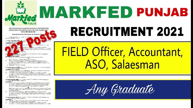 Punjab Markfed Recruitment 2021 227 Accountant Field Officer Various Recruitment 1