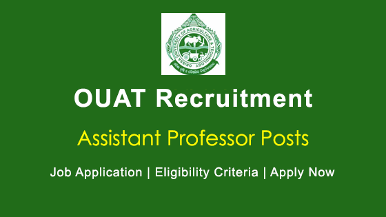 Recruitment For 43 Assistant Professor Posts In OUAT 1