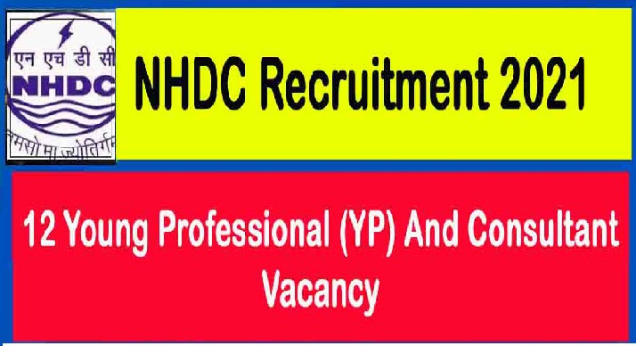 Young Professional YP Consultant Posts In NHDC 1