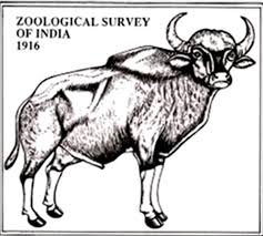 Zoological Survey of India ZSI